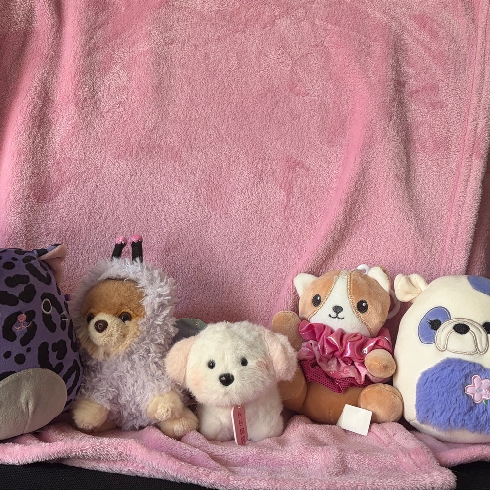 Cat / dog plush lot